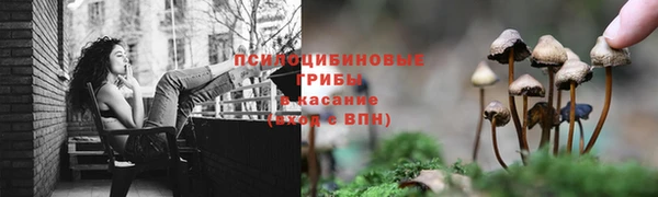 ALPHA PVP Арсеньев