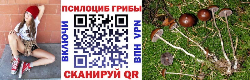 наркота MEGA сайт Галлюциногенные грибы GOLDEN TEACHER Беслан